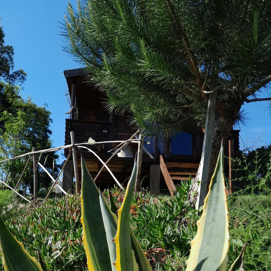Casa Do Sobreiro 2 Bed and Breakfast Serra das Alhadas Exteriör bild