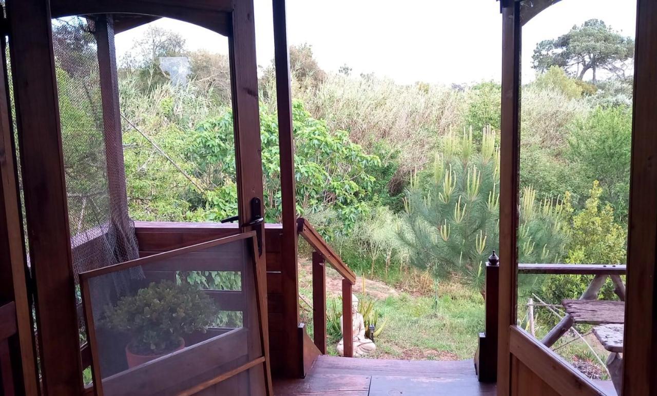 Casa Do Sobreiro 2 Bed and Breakfast Serra das Alhadas Exteriör bild
